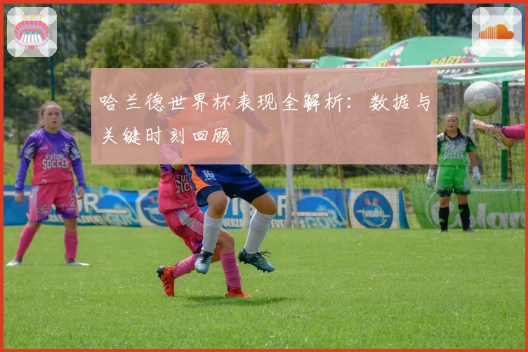 哈兰德世界杯表现全解析：数据与关键时刻回顾