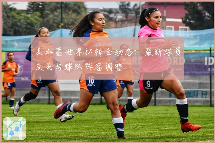 美加墨世界杯转会动态:最新球员交易与球队阵容调整